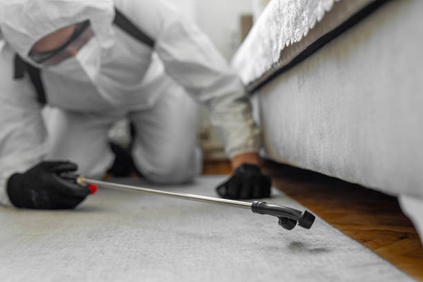 Professional Cockroach Control technician working in Blue Point, NY